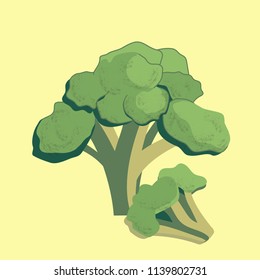 Vector illustration of colorful broccoli. Healthy organic food