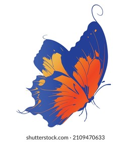 Vector illustration of colorful butterfly 