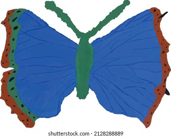 vector illustration colorful butterfly drawing