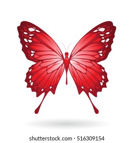 Vector Illustration of a Colorful Butterfly isolated on a white background