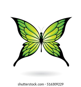Vector Illustration of a Colorful Butterfly isolated on a white background