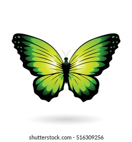 Vector Illustration of a Colorful Butterfly isolated on a white background