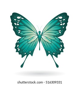 Vector Illustration of a Colorful Butterfly isolated on a white background