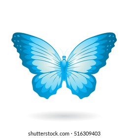Vector Illustration of a Colorful Butterfly isolated on a white background
