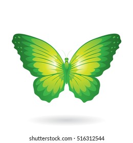 Vector Illustration of a Colorful Butterfly isolated on a white background