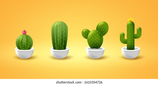 Vector illustration of colorful cactus and succulent. EPS vector format that can be resized without losing quality.