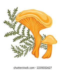 Vector illustration of colorful cartoon mushroom with fern stems on white background. Chanterelle with herbal decoration. Drawing of edible grebe. Natural fall clipart for card and banner. 