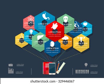 vector illustration of colorful circle