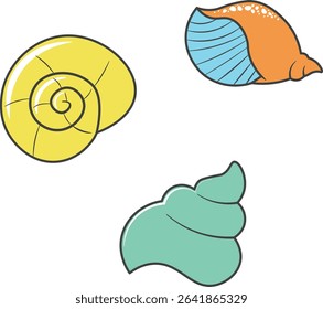 vector illustration of colorful and cute seashell