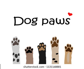  Vector Illustration Of Colorful Dog Paws On White Background. Brochure, Flyer, Postcard.