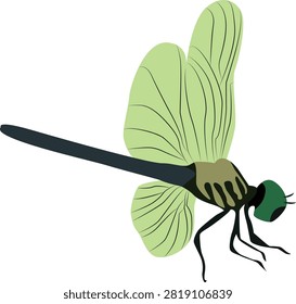 Vector illustration of a colorful Dragonfly, isolated