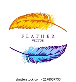 Vector Illustration of Colorful Feather. Bird. Yellow, orange, blue, art, beautiful.