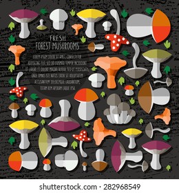 vector illustration of colorful flat design style forest mushrooms with shadow, text and signature on a textured wood background as a template for your design or article