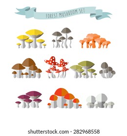 vector illustration of colorful flat design style isolated  forest mushrooms with ribbon and signature as a template for your design or print