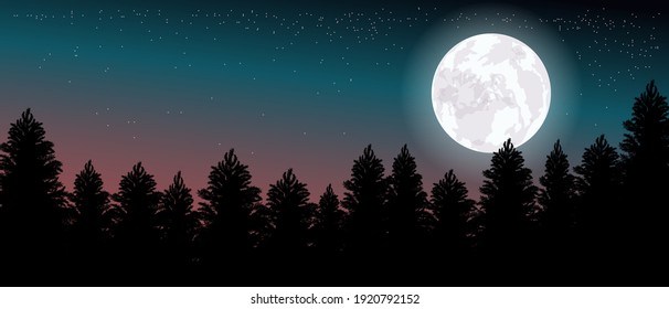 Vector illustration. Colorful forest landscape, moon. Starry sky.