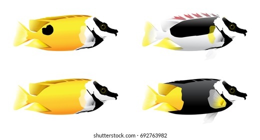 Vector illustration of colorful fox face fish or rabbitfish on white background.