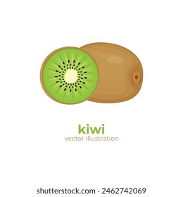 Vector illustration of colorful fresh kiwi. Isolated on white. Vector illustration EPS 10 