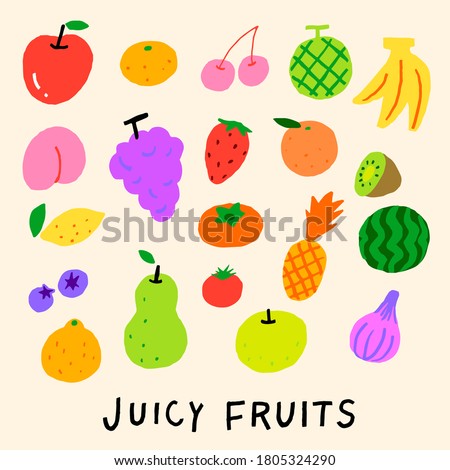 Vector illustration of colorful fruit