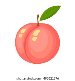 Vector illustration of colorful fruit. Fresh peach. Fruit isolated on background. Icons of fruits. Logo.