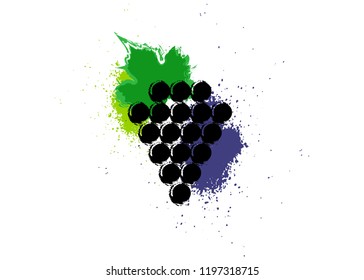 Vector illustration colorful and grapes vine icon. Abstract splatter style colorful with grape berries. Design concept for wine label, wine list, menu, alcohol drinks package. Fruit Isolated or white