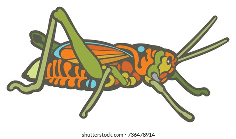 Vector Illustration of a Colorful Grasshopper