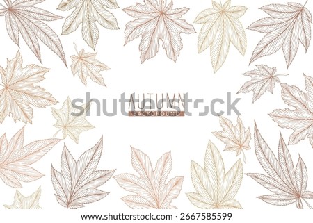 Vector illustration with colorful hand drawn autumn maple leaves isolated on white background. Engraved line art fall leaf design for print, invitation, brochure, card, wallpaper, banner