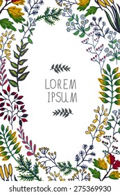 vector illustration of colorful hand painted herbal set