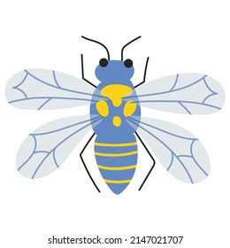 Vector illustration of colorful insect isolated on white. Hand drawing style. Drawing element