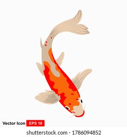 Vector illustration of colorful Japanese koi and oriental koi in Asia. Chinese goldfish with a white background.