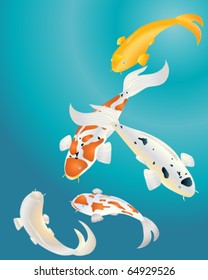 vector illustration of colorful koi carp in eps10 format