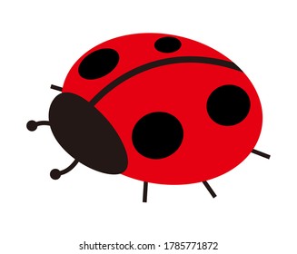 Vector illustration of colorful ladybugs . 
