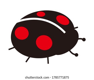 Vector illustration of colorful ladybugs . 