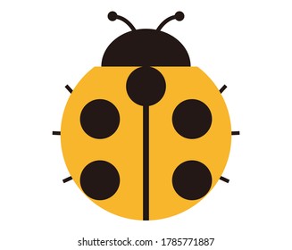 Vector illustration of colorful ladybugs . 