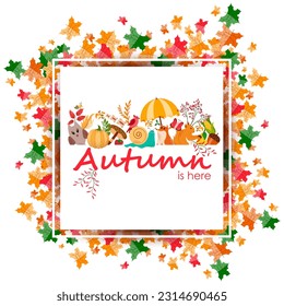 vector illustration of colorful leaf for Autumn fall festive background