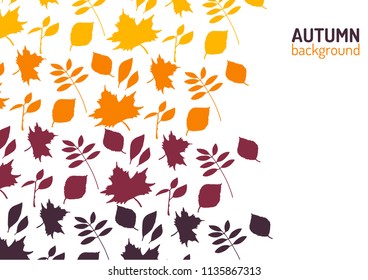 Vector illustration of colorful leaves from trees. Yellow, orange and dark falling leaves.