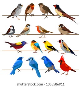 Vector illustration of colorful little birds sitting on the branches. Isolated on white background.