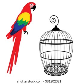 Vector illustration colorful macaw parrot and birdcage. Beautiful macaw. Cartoon red parrot