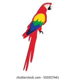 Vector illustration colorful macaw parrot. Beautiful macaw. Cartoon red parrot. Wild tropical bird