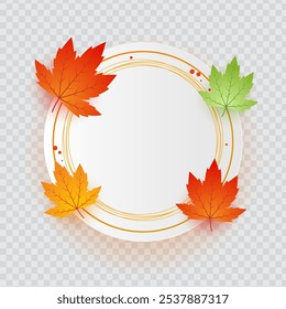 Vector illustration of colorful maple leaves frame border on transparent background