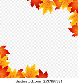 Vector illustration of colorful maple leaves frame border on transparent background