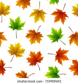 Vector illustration of Colorful maple leaves isolated on white background