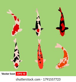 Vector illustration of colorful oriental koi and koi fish in Asia. Collection of Chinese carp and isolated traditional fishing background.