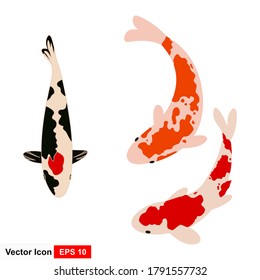 Vector illustration of colorful oriental koi and koi fish in Asia. Collection of Chinese carp and isolated traditional fishing background.