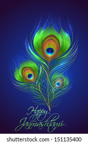 vector illustration of colorful Peacock feather in Janmashtami background