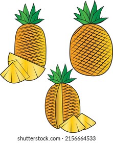 vector illustration of colorful pineapple doodle full and half