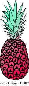 Vector illustration of colorful pineapple  isolated on white. T-shirt print design