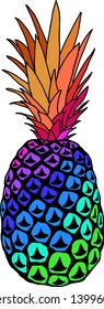 Vector illustration of colorful pineapple  isolated on white. T-shirt print design