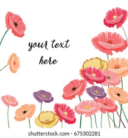 Vector illustration of colorful poppies in a corner. Place for your text. Vector illustration on white background