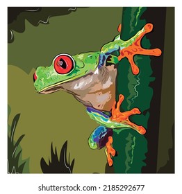 Vector illustration of colorful red-eyed toad

