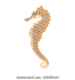 Vector illustration of a colorful seahorse. Isolated white background. Sea horse side view.